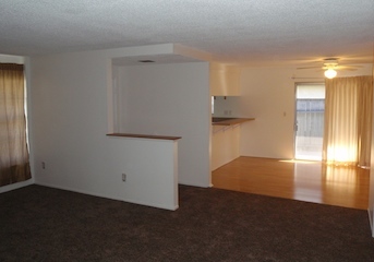 Living Room with Dining Area & Kitchen